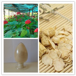 �F؛����������ȡ�� 80��������