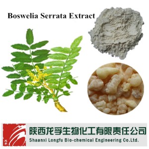 ������ȡ�� ������65�� 90�� �S(ch��ng)��ֱ�N(xi��o)