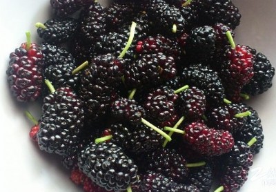 ���ɣ�ؠI�B���ͷ۴��ӹ��ļҺ�