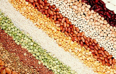 �S������ʳ�I�B���ͷ۴��ӹ��ļҺ�