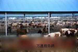 ɽ��̫ԭ��ţ�S|ɽ��̫ԭ������ţ�S����ţ�r��