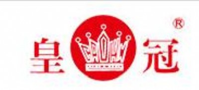 �ʹ�ds31-pet/opp�����p���zճ��