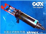 Ӣ��cox�p�M�ݚ���z��/�̶������p�z