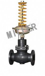 �M�ډ����{���y