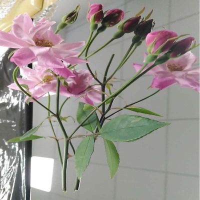 12k�R�治�P䓎�