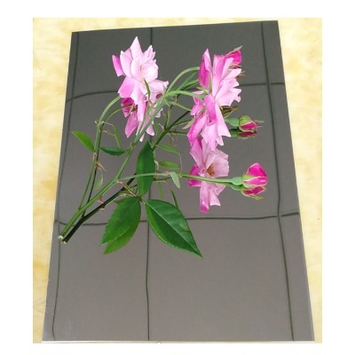 304�R�治�P䓰� 8k�R�治�P�