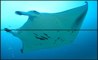 �V�|�o�pҺ��ƴ���������lgƴ���������Z�Ƽ����a������