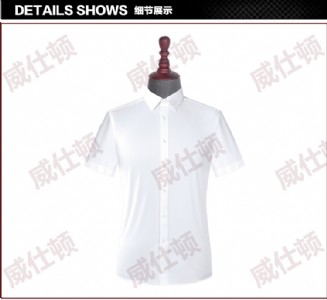 ��ʿ�I�bӆ�� �����������S��