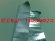 �B�T���X���ͺ�Ĥ ��������X��������(�D)