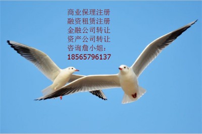 ���Y���U��˾����������ИI�lչ