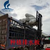 ����������͸ˮ������������