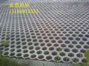 �����o��ģ�߰lչǰ��