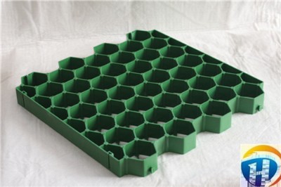 ������ͨ��ֲ�ݸ�ăr��