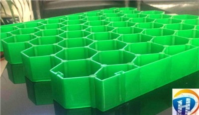 ���(y��ng)ͣ܇λ�G��ֲ�ݸ��I(l��ng)�������gӭ��