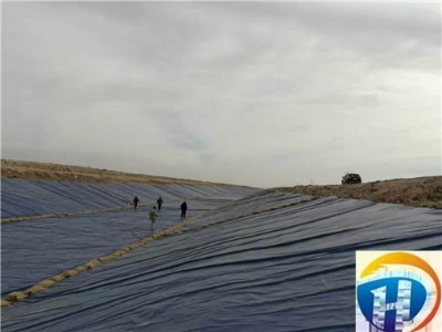 ���-����ͨ���G��ֲ�ݸ�-�ɷ����޹�˾