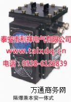 �V�����Z�Ԉ���