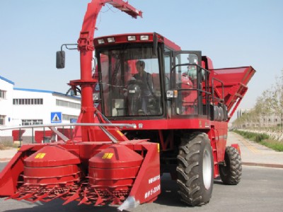 ���A�ի@�C�ļ��� ɽ�|��ţ���A�C�|��