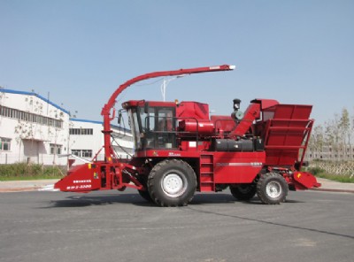 �S�ҵ̓r�N��2015������ʽ���A�C  �������A�C�|����