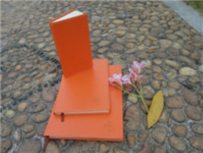 ��Ƥ�Pӛ�� ������Ƥ�Pӛ������ �̄���Ƥӛ�±�����