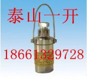 ZP-12R�V�ß�ጹ�؂�����