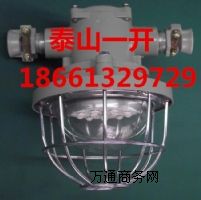 DGS12/127L(B)�V�ø�����LED�����