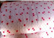 ����(y��ng)�W(xu��)������(�D)