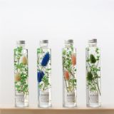 ̿�ݻ�С̖ �������ɻ��[�����W�L�Ҿ��b�(chu��ng)���������նYƷ���l(f��)