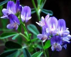 �S�ҬF؛�����ϻ���ޣ��ȡ��