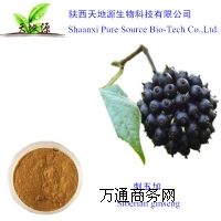 �����a�S���C���������|�������ȡ������߰