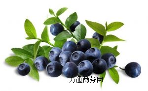 ������Դ����F(xi��n)؛�����o���ӄ���ɫ�أ�����Ȼ�{ݮ��֭��