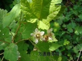 �������ɽ��~��ȡ���QS���S�ҬF؛