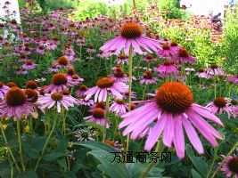 4%��ӣ������ᣬ�Gԭ�ᣬ���F��߰