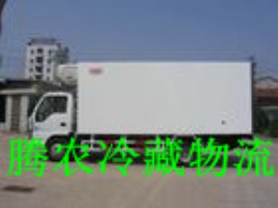 ���������˾  ���������˾  �ζ��^������  �Ϻ������