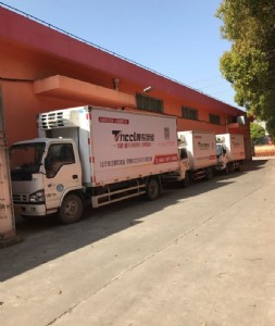 �Ϻ������w������� �Ϻ������������ �Ԃ����܇