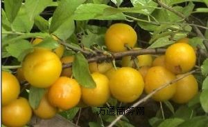 �}���N��,�}���N��,���A�}��,ˮ���N��,ˮ������,������