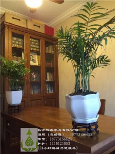 �Lɳȫ�ݶ��ƼҾߡ�����ԭľչʾ�ܡ��ƹ���ˮ������