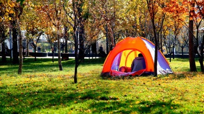 �I(m��i)Ұ�I(y��ng)����¶�I(y��ng)��������Ԏ���