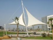 ɽ�|֪���ď���Ĥ�Y���S�ҡ���Ĥ�Y�������Xһƽ��