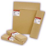 ����(y��ng)����yes star���I(y��)�zƬ(�D)