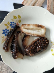 天燁提供魔芋素食技術,素鮑魚、素海參、素蝦丸、素魚丸生產技術