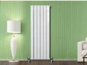 ���ɢ�����S��