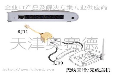 �����C�Ԓ�I�N����ϵ�y