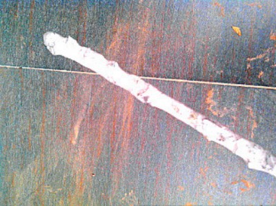 YDӲ�|(zh��)�Ͻ𺸗l