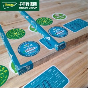 ɼľ���ɲ�ǧ���۟o��ָ�Ӱ僺ͯ�����