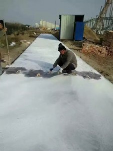 �ӱ����_���w�����@��ɫ��ģ·��