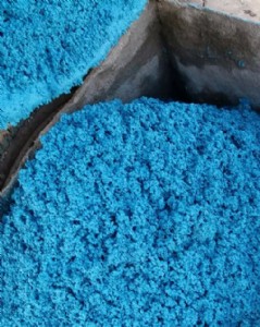 ��ƺ����(qi��ng)�����ϏS��