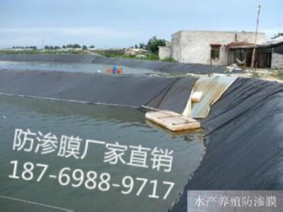 ���w�Bֳ���BĤ���a�S��/�r��