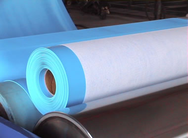 һ���{(l��n)ɫ������Ĥ