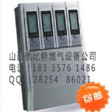 ɽ���ذ�ES2000��ȼ���w���ƈ����r��