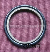 ����(y��ng)�S���͸��ܷ�Ȧ